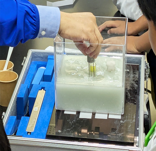 大地の変化を調べよう